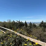 La Casa Nel Bosco 4* Ripatransone