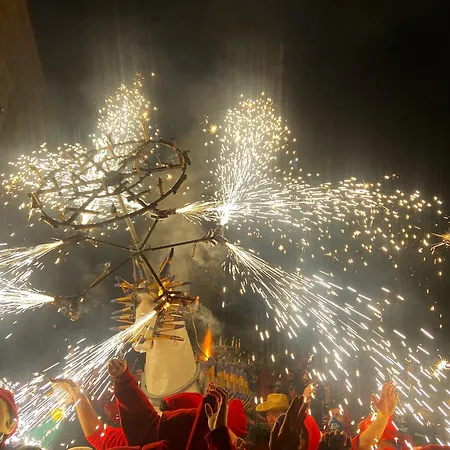 La Casa Nel Bosco Oda ve Kahvaltı Ripatransone