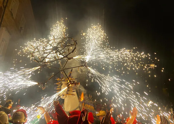 La Casa Nel Bosco Bed and breakfast Ripatransone